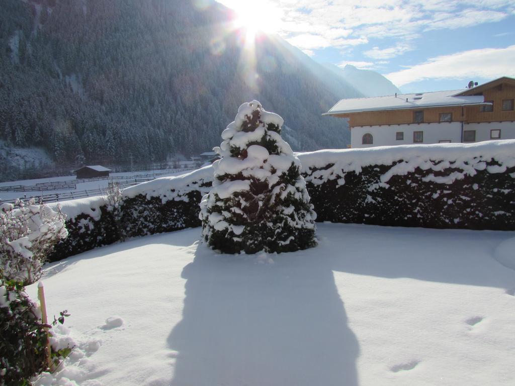 Haus Egger Apartamento Neustift im Stubaital Exterior foto